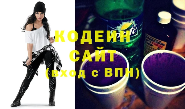 дживик Ельня