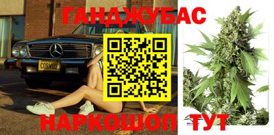 индика Камышлов