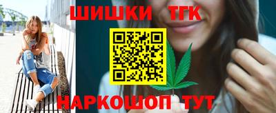 индика Камышлов