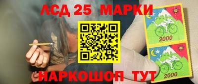 индика Камышлов
