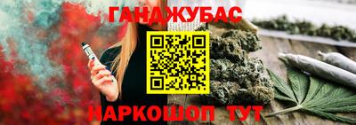 индика Камышлов