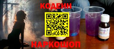 индика Камышлов