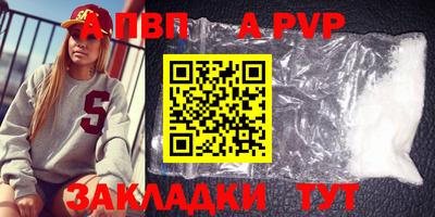 индика Камышлов