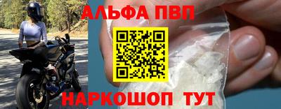 индика Камышлов