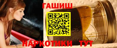 индика Камышлов