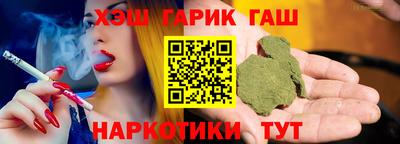 индика Камышлов