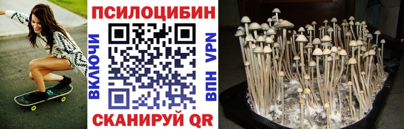 Галлюциногенные грибы Cubensis  цены   Северобайкальск 