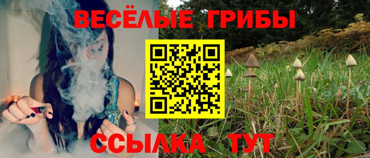 где можно купить   Галлюциногенные грибы Cubensis  Вход с VPN  Северобайкальск  Псилоцибиновые грибы мухоморы 