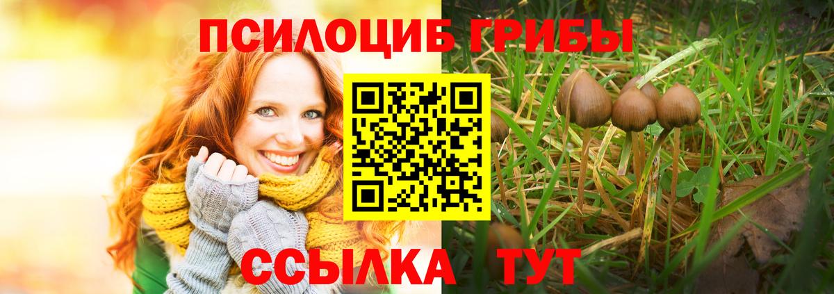 Псилоцибиновые грибы MAGIC MUSHROOMS Северобайкальск